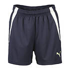 Puma individualLIGA Shorts (Dam)