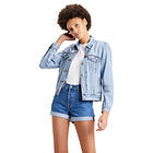 Levi's 501 Rolled Sansome Ranso Shorts (Dam)