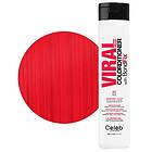 Celeb Luxury Viral Hybrid Red Colorditioner 244ml