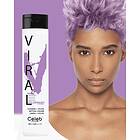 Celeb Luxury Viral Colorwash Lavender 244ml