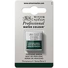 Winsor & Newton Akvarellmaling Artist Watercolour Perylene Green 460
