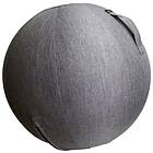Abilica Fitness Ball Cover 65cm