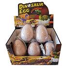 Growing Pet Dinosaur Egg