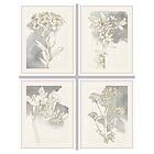 DKD Home Decor Maleri Cvetlice (55 x 2,5 x 70 cm) (4 enheder)