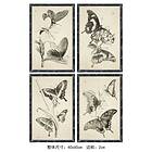 DKD Home Decor Maleri Sommerfugle (40 x 60 x 2,8 cm) (4 enheder)