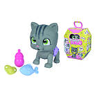 Pamper Petz Cat