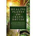 Healing Plants of the Celtic Druids Ancient Celts in Britain and their Druid hea