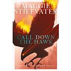 Call down the hawk av Maggie Stiefvater