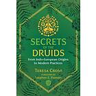 Secrets of the Druids av Teresa Cross