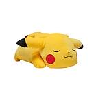 Pokémon Sleeping Pikachu