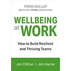 Wellbeing At Work av Jim Clifton, Jim Harter