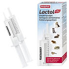Beaphar Lactol Matningsset kattungar 12ml