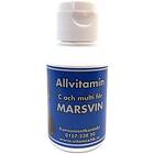 Vitamix Allvitamin Marsvin 50ml