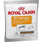 Royal Canin Kompletteringsfoder Energy 30x50g