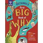 Sally Symes, Drimmer, Britannica Group First Big Book of Why av