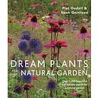Piet & Gerritsen Henk Oudolf Dream Plants for the Natural Garden av