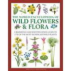 Mick Lavelle Wild Flowers & Flora, The World Encyclopedia of av