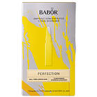 Babor X Paul Schrader Perfection Concentrates Ampoules 7x2ml