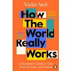 Vaclav Smil How the World Really Works av