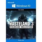 Wasteland 3 Colorado Collection (PC)