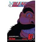 Bleach, Vol. 67