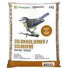 Felleskjøpet solsikkekjerner renset 4kg