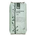 Hard Head Solsikkefrø 10kg