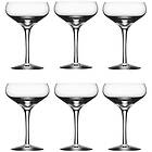 Orrefors More Champagne Glass 21cl 6-pack