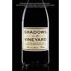 Shadows in the Vineyard