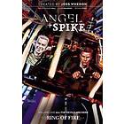 Angel & Spike Volume 1