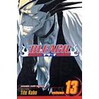 Bleach, Vol. 13