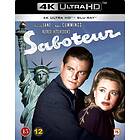 Saboteur (UHD+BD) (Blu-ray)