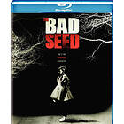 Bad Seed (ej svensk text) (Blu-ray)