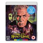 Fall of the House of Usher (ej svensk text) (Blu-ray)