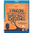 A Pigeon Sat On Branch Reflecting Upon Existence Blu-Ray