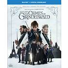 Fantastic Beasts 2 The Crimes Of Grindelwald (Blu-ray)