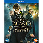 Fantastic Beasts Collection (3 s) (Blu-ray)