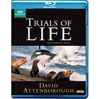 David Attenborough Trials Of Life (Blu-ray)