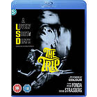 The Trip (Blu-ray)