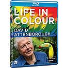 Life in Colour with David Attenborough (Blu-ray)