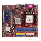 Biostar GeForce 6100-M7