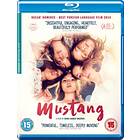 Mustang Blu-Ray