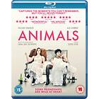 Animals Blu-Ray