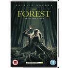 The Forest DVD