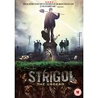 Strigoi DVD
