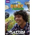 Andys Baby Animals Playtime And Other Stories DVD (import)