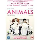 Animals DVD (import)