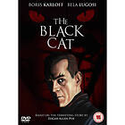 The Black Cat DVD