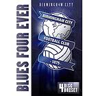 Birmingham City FC Official Definitive Collection DVD