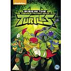 TMNT Ninja Turtles Rise of the Teenage DVD